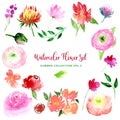 Watercolor loose style flowers and leaves set. Collection of isolated images of pink, red flowers, peony, protea, rose