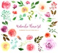 Watercolor loose style flowers and leaves set. Collection of isolated images of pink, red, yellow rose. High quality print, Royalty Free Stock Photo