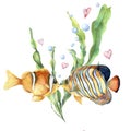 Watercolor Love card with tropical fishes. Hand painted laminaria leaves and branch, two fishes, air bubbles and hearts