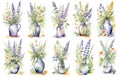 Watercolor lupine set. Hand painted flowers, branches, leaves and stems isolated on white background. Botanical floral