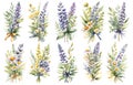 Watercolor lupine set. Hand painted flowers, branches, leaves and stems isolated on white background. Botanical floral