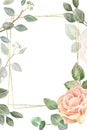 Watercolor floral frame template with geometric gold border and lush pink roses and green eucalyptus leaves on white background. Royalty Free Stock Photo