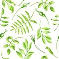 Watercolor lush greenery seamless pattern. Hand painted green leaves and white roses buds isolated on white background