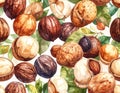 Watercolor Macadamia Nuts and Leaves Seamless Pattern Royalty Free Stock Photo