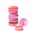 Watercolor macarons in purple, red and pink colors Royalty Free Stock Photo