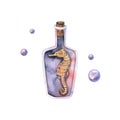 Watercolor magic glass bottle with sea horse, bubbles. Hand drawn illustration isolated on white Royalty Free Stock Photo