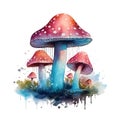 Watercolor magic toadstool mushroom