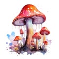 Watercolor magic toadstool mushroom