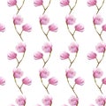 Watercolor magnolia branches seamless pattern,hand drawn illustration on white background.season design for textile