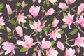 Watercolor Magnolia floral seamless vector pattern. Magnolia flowers, leaves, petals, blossom background