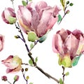 Magnolia branch watercolor