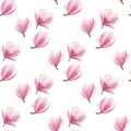 Watercolor magnolia seamless pattern isolated on white background. spring blooming pattern design. Royalty Free Stock Photo