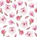 Watercolor magnolia seamless pattern on white background. Hand d Royalty Free Stock Photo
