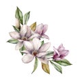 Watercolor magnolias branch. Hand painted floral card with white and pink flowers, leaves, bouquet and buds isolated on Royalty Free Stock Photo