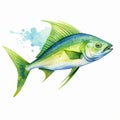 Watercolor Mahi-mahi Clipart: Vibrant Fish Design For Tropical Art Royalty Free Stock Photo