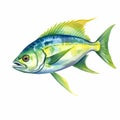 Watercolor Mahi-mahi Fish Clipart With White Background Royalty Free Stock Photo