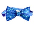 Watercolor male tie bow painted illustration isolated