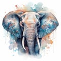 Watercolor mandala elephant illustration art wallpaper