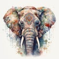 Watercolor mandala elephant illustration art wallpaper