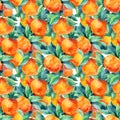 Watercolor mandarine orange fruit branch with leaves seamless pattern