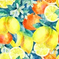 Watercolor mandarine orange and lemon fruit branch with leaves seamless pattern Royalty Free Stock Photo