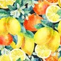 Watercolor mandarine orange and lemon fruit branch with leaves seamless pattern Royalty Free Stock Photo