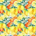 Watercolor mandarine orange and lemon fruit branch with leaves seamless pattern Royalty Free Stock Photo