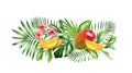 Watercolor mango fruits. Horizontal border with juicy red fruits and tropical leaves. Botanical realistic hand drawn