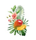 Watercolor mango fruits. Vertical bouquet with juicy fruits, tropical orchid flowers and palm leaves. Botanical hand