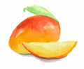 watercolor mango.