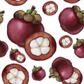 Watercolor mangosteen pattern. Hand painted tropical fruits isolated on white background. Garcinia plant. For design or