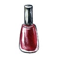 Watercolor manicure cosmetics illustration