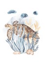 Watercolor map of the underwater world with a sea turtle, corals, algae, jellyfish for invitations, postcards