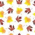 Watercolor maple leaves seamless pattern.