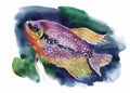 Watercolor Marine life background with Tropical fish