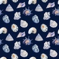 Watercolor marine seamless patterns. Seashells nautical wallpaper, background Hand drawn painting. Blue sea shell Royalty Free Stock Photo