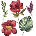 Watercolor maroon flower set