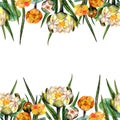 Watercolor marsh plants and herbs decorative ornament frame of white and yellow lilies