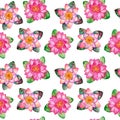 Watercolor marsh plants and herbs seamless pattern with pink water lilies on a white Royalty Free Stock Photo