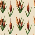 Watercolor marsh plants and herbs seamless pattern with reeds on a beige Royalty Free Stock Photo