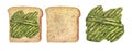 Watercolor mashed avocado toast on whole grain sandwich bread. Top view. Hand-drawn illustration isolated on white