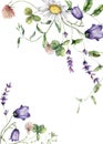 Watercolor meadow flowers border of campanula, chamomile, and lavender. Hand painted floral frame of wildflowers