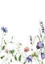 Watercolor meadow flowers border of campanula, clover and lavender. Hand painted floral card of wildflowers isolated on