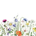 Watercolor meadow flowers border of chamomile, clover and campanula. Hand painted floral card of wildflowers isolated on