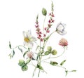 Watercolor meadow flowers bouquet of buttercup, clover, bindweed and sage. Hand painted floral poster of wildflowers