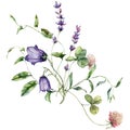 Watercolor meadow flowers bouquet of campanula, lavender and clover. Hand painted floral poster of wildflowers isolated