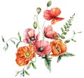 Watercolor meadow flowers bouquet of poppy, bindweed and geranium. Hand painted floral poster of wildflowers isolated on