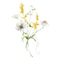 Watercolor meadow flowers bouquet of yellow buttercups and white poppies. Hand painted floral illustration isolated on