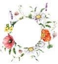 Watercolor meadow flowers circle frame of chamomile, poppy and lavender. Hand painted floral card of wildflowers