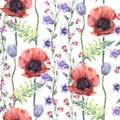 Watercolor meadow flowers poppy with bluebell.